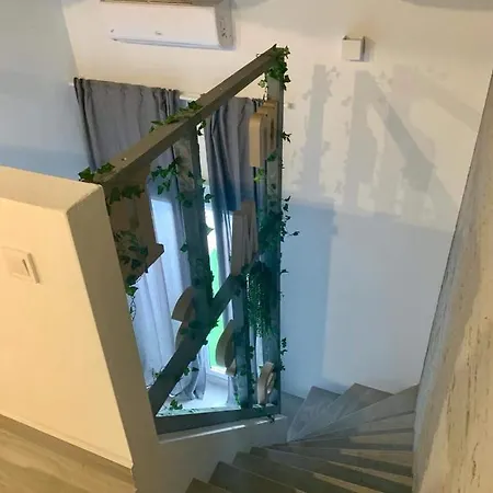 Cozy Guest house Valencia